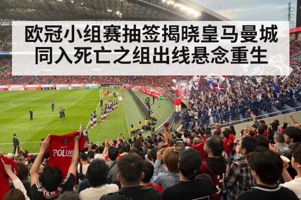 soccer stadium fans
